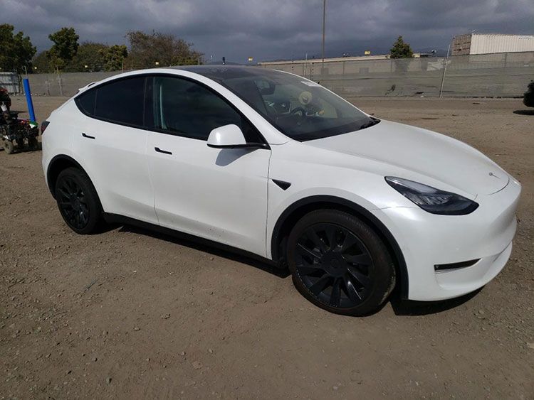 TESLA MODEL Y 2021 TESLA MODEL Y 2021