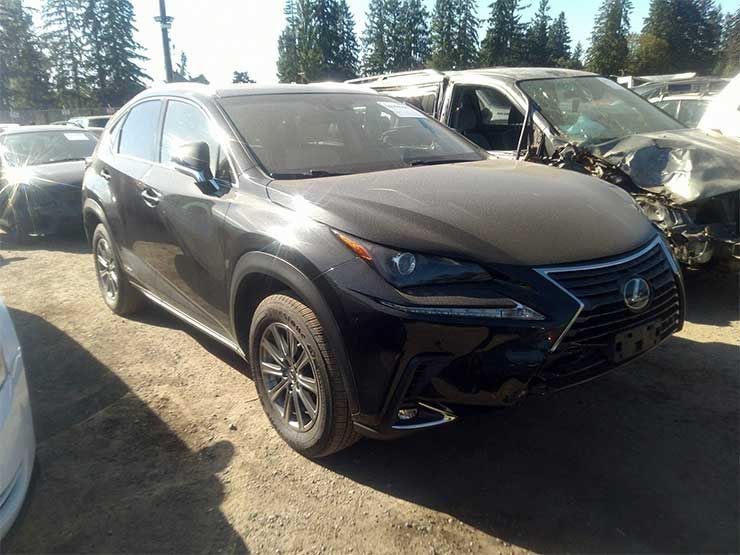 LEXUS NX 300H 2018 LEXUS NX 300H 2018
